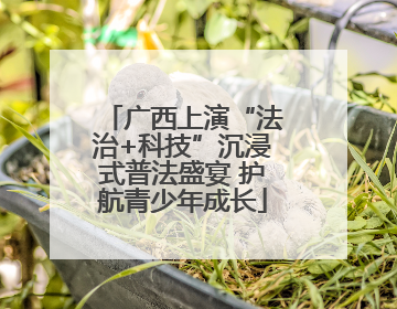 广西上演“法治+科技”沉浸式普法盛宴 护航青少年成长