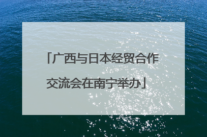 广西与日本经贸合作交流会在南宁举办