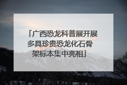广西恐龙科普展开展 多具珍贵恐龙化石骨架标本集中亮相