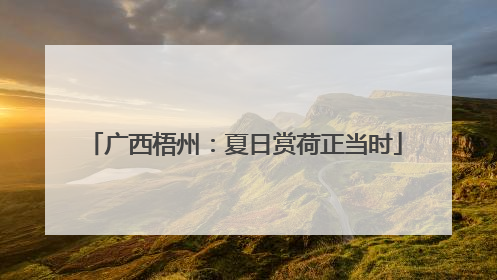 广西梧州：夏日赏荷正当时