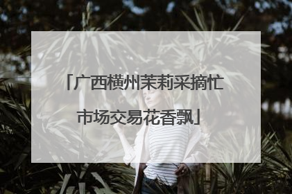 广西横州茉莉采摘忙 市场交易花香飘