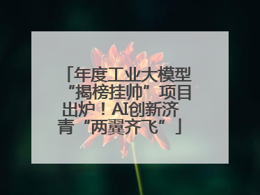 年度工业大模型“揭榜挂帅”项目出炉！AI创新济青“两翼齐飞”