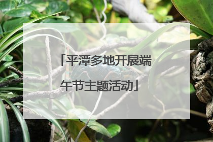 平潭多地开展端午节主题活动