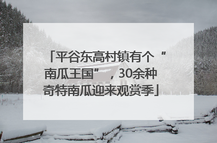 平谷东高村镇有个“南瓜王国”，30余种奇特南瓜迎来观赏季