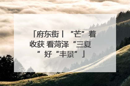 府东街丨“芒”着收获 看菏泽“三夏”好“丰景”