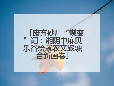 废弃砂厂“蝶变”记：湘阴中麻贝乐谷绘就农文旅融合新画卷