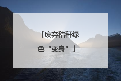 废弃秸秆绿色“变身”