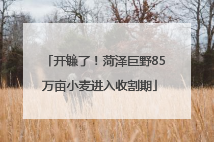 开镰了！菏泽巨野85万亩小麦进入收割期