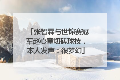 张智霖与世锦赛冠军赵心童切磋球技，本人发声：很梦幻