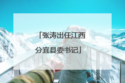 张涛出任江西分宜县委书记