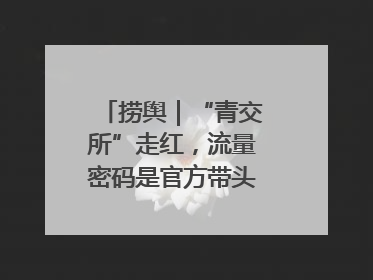 捞舆｜“青交所”走红，流量密码是官方带头“玩起来”