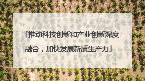 推动科技创新和产业创新深度融合，加快发展新质生产力