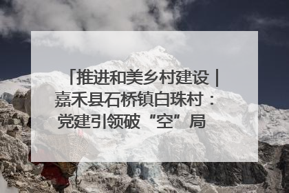推进和美乡村建设｜嘉禾县石桥镇白珠村：党建引领破“空”局 乡贤聚力绘就新图景