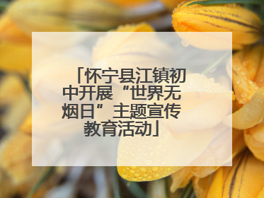 怀宁县江镇初中开展“世界无烟日”主题宣传教育活动
