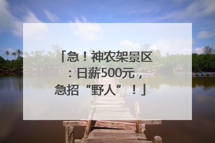 急！神农架景区：日薪500元，急招“野人”！