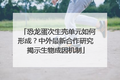 恐龙蛋次生壳单元如何形成？中外最新合作研究揭示生物成因机制