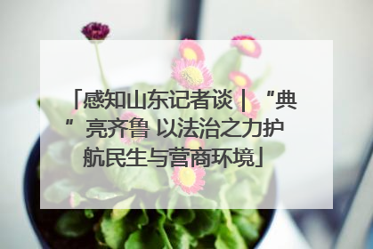 感知山东记者谈｜“典”亮齐鲁 以法治之力护航民生与营商环境