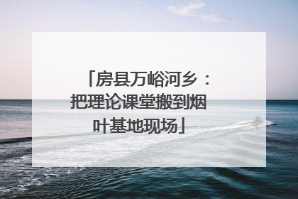 房县万峪河乡：把理论课堂搬到烟叶基地现场