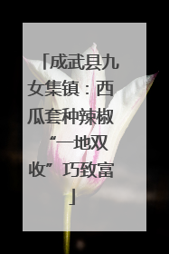 成武县九女集镇：西瓜套种辣椒 “一地双收”巧致富