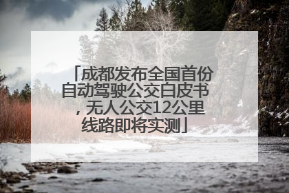 成都发布全国首份自动驾驶公交白皮书，无人公交12公里线路即将实测