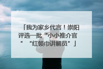 我为家乡代言！崇阳评选一批“小小推介官”“红领巾讲解员”