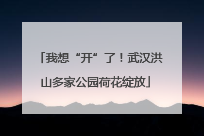 我想“开”了！武汉洪山多家公园荷花绽放