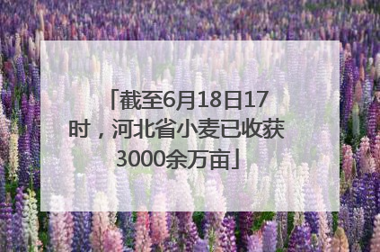 截至6月18日17时，河北省小麦已收获3000余万亩