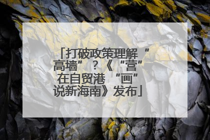 打破政策理解“高墙”？《“营”在自贸港 “画”说新海南》发布