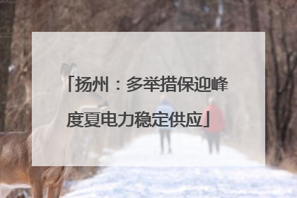 扬州：多举措保迎峰度夏电力稳定供应