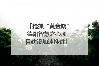 抢抓“黄金期” 德阳智慧之心项目建设加速推进