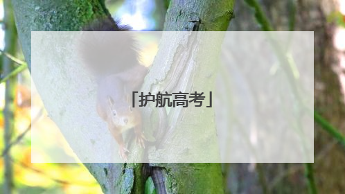 护航高考