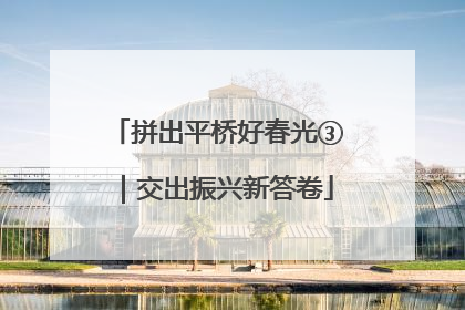拼出平桥好春光③｜交出振兴新答卷