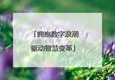 拥抱数字浪潮 驱动智慧变革