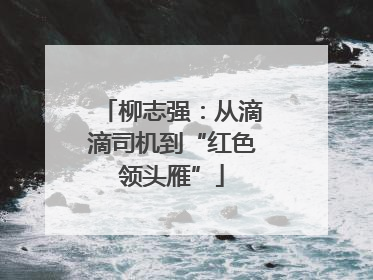 柳志强：从滴滴司机到“红色领头雁”
