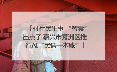 村社民生事 “智囊”出点子 嘉兴市秀洲区推行AI“民情一本账”