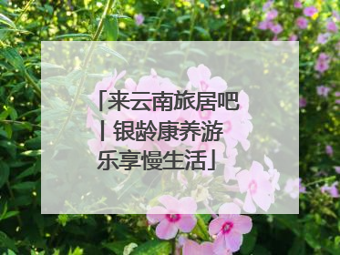 来云南旅居吧丨银龄康养游 乐享慢生活