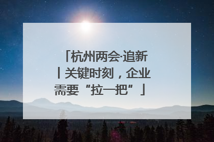 杭州两会·追新丨关键时刻，企业需要“拉一把”