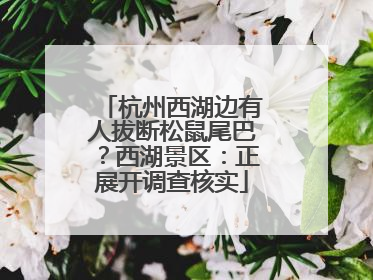 杭州西湖边有人拔断松鼠尾巴？西湖景区：正展开调查核实