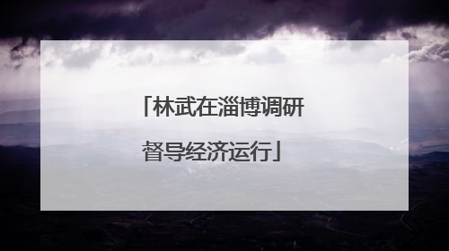 林武在淄博调研督导经济运行