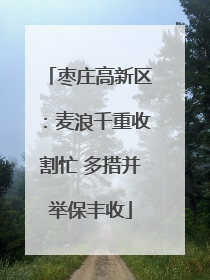 枣庄高新区：麦浪千重收割忙 多措并举保丰收
