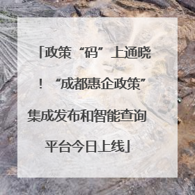 政策“码”上通晓！“成都惠企政策”集成发布和智能查询平台今日上线