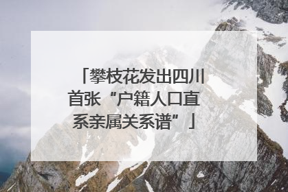 攀枝花发出四川首张“户籍人口直系亲属关系谱”