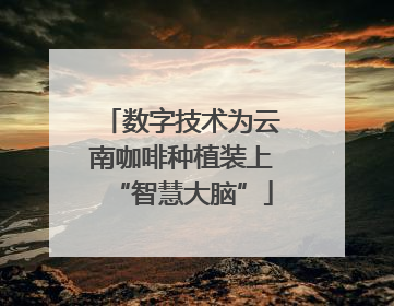 数字技术为云南咖啡种植装上“智慧大脑”