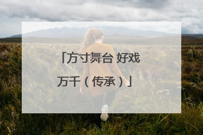方寸舞台 好戏万千（传承）