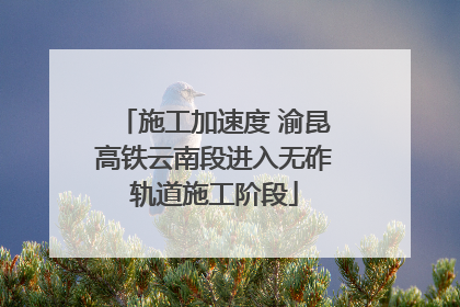 施工加速度 渝昆高铁云南段进入无砟轨道施工阶段