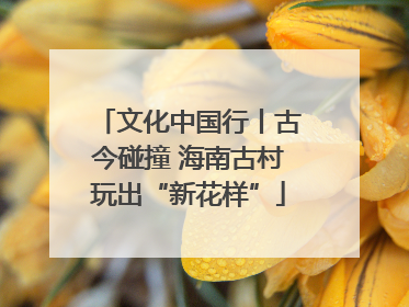 文化中国行丨古今碰撞 海南古村玩出“新花样”