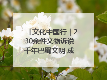 文化中国行｜230余件文物诉说千年巴蜀文明 成渝地区基建考古成果展开展