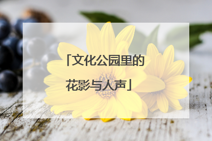 文化公园里的花影与人声