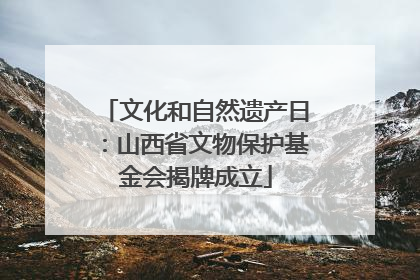 文化和自然遗产日：山西省文物保护基金会揭牌成立
