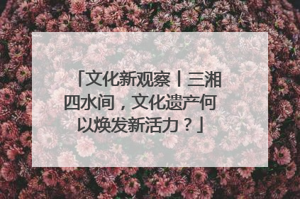 文化新观察丨三湘四水间，文化遗产何以焕发新活力？
